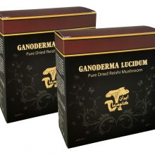 قارچ گانودرما