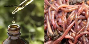 روغن خراطین اصل را از روغن خراطین تقلبی چگونه تشخیص دهیم ؟