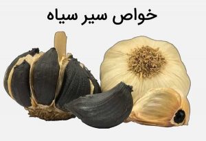 معرفی سیر سیاه و خواص درمانی معجزه آسای آن