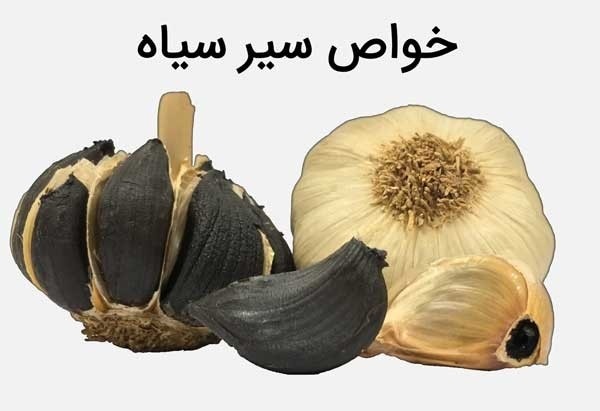 سیر سیاه